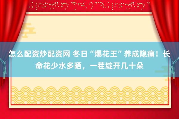 怎么配资炒配资网 冬日“爆花王”养成隐痛！长命花少水多晒，一茬绽开几十朵